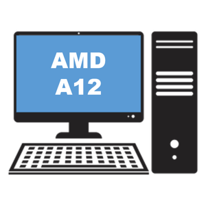 AMD A12 Branded Desktop