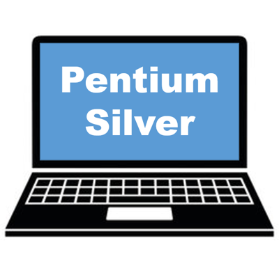 Latitude Series Pentium Silver