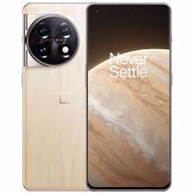 OnePlus 11 5G Marble Edition (16 GB/256 GB) 