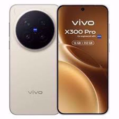 Vivo X300 Pro (16 GB/512 GB)